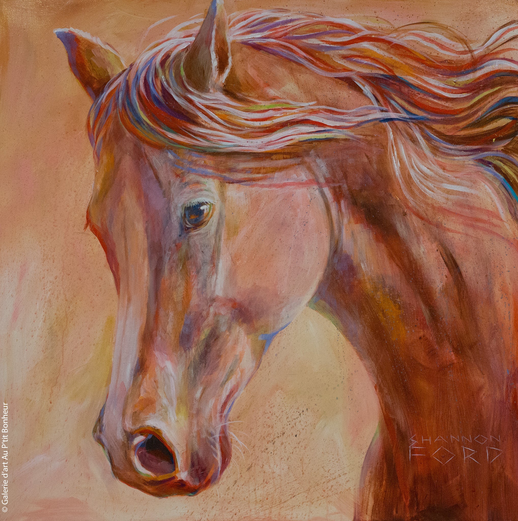 Shannon Ford, artiste peintre | Oeuvres disponibles | Galerie d'art Au P'tit Bonheur