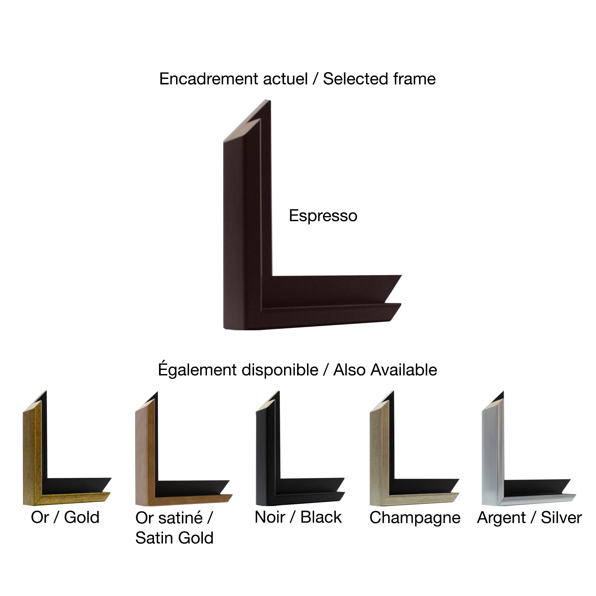 Robert Roy | Là où le temps s’amuse