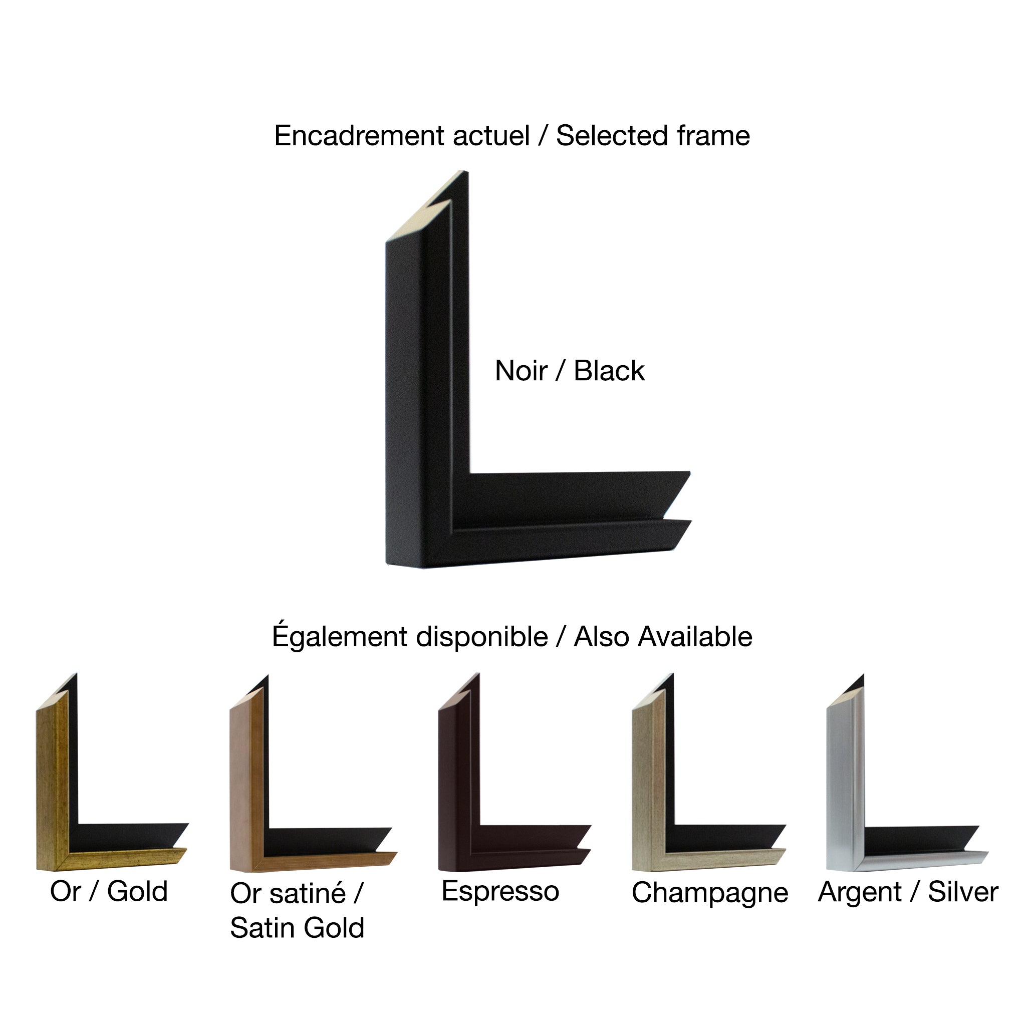 Alain Bédard | Tulipes en cadeau