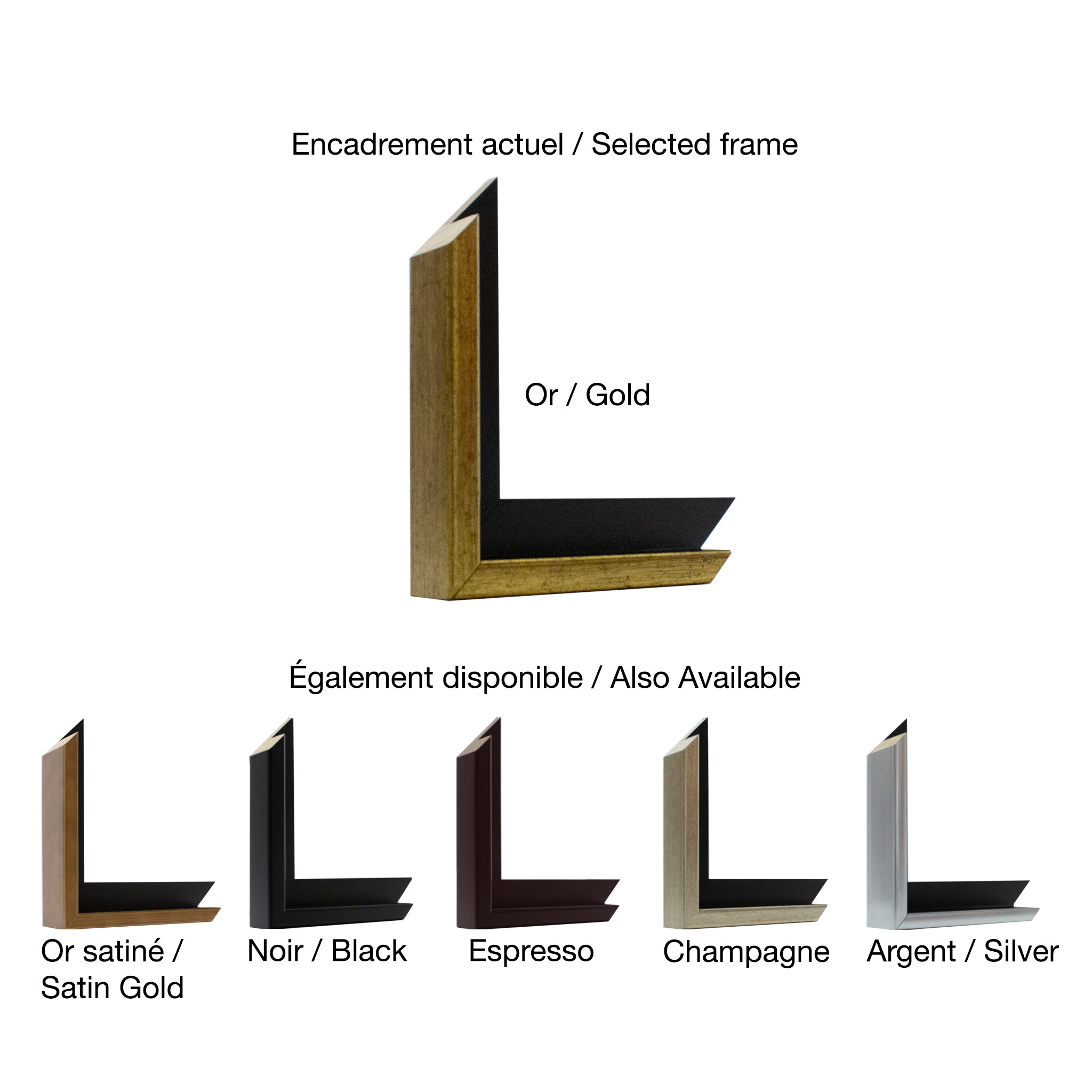 Guylène Saucier | Un p’tit bout de côte