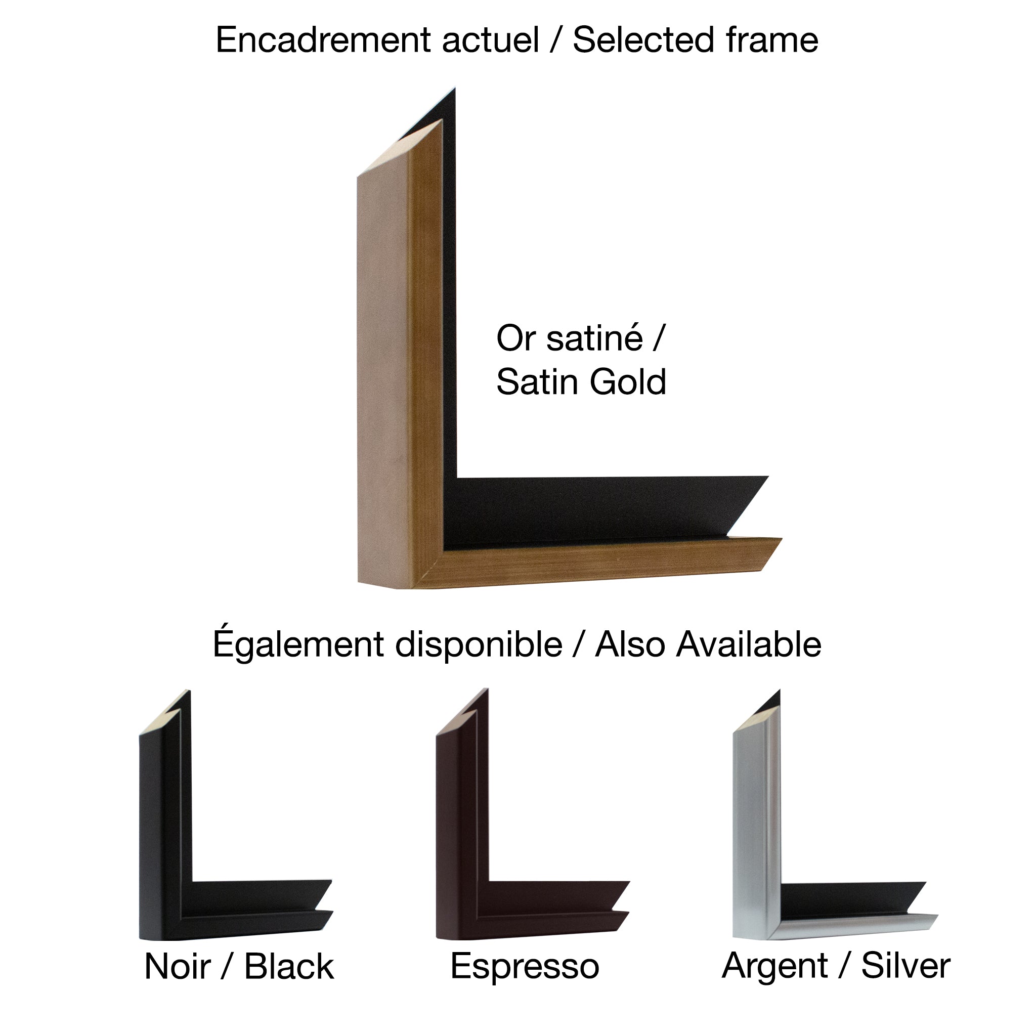Ann Murphy | Eyes Of The Evening