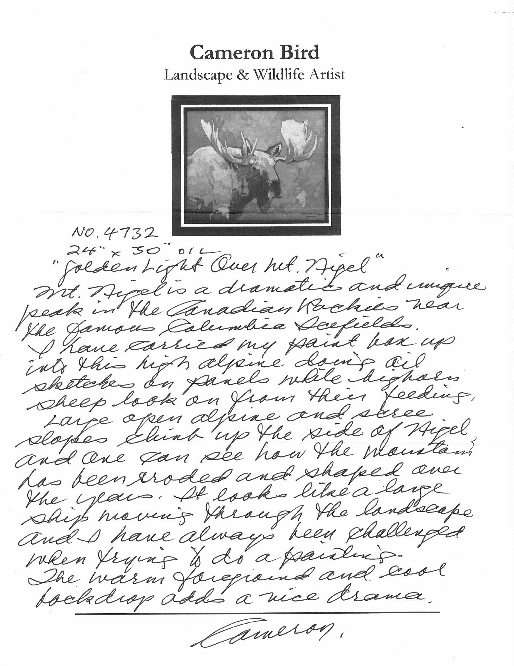 Cameron Bird | Golden Light Over Mt. Nigel