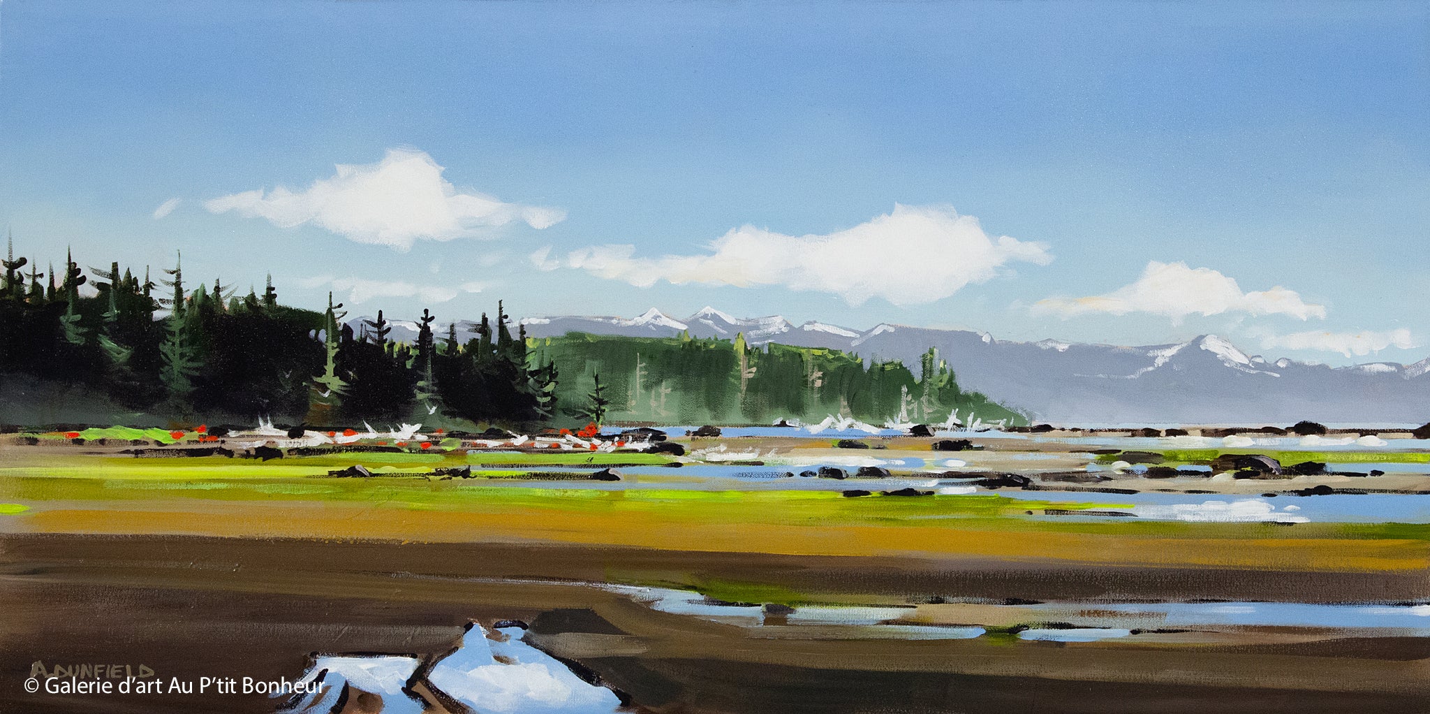 Allan Dunfield | Colourfull Shore, Vancouver Island, B.C