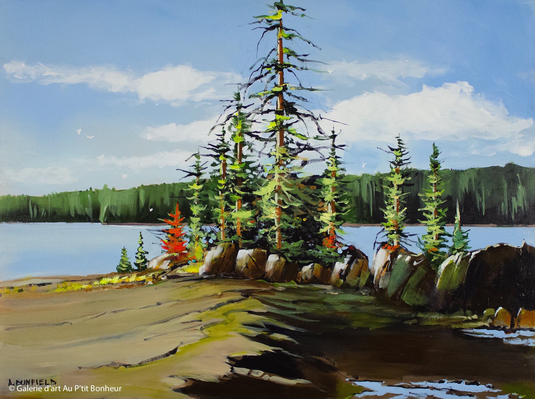 Allan Dunfield, artiste peintre | Oeuvres disponibles  | Galerie d'art Au P'tit Bonheur