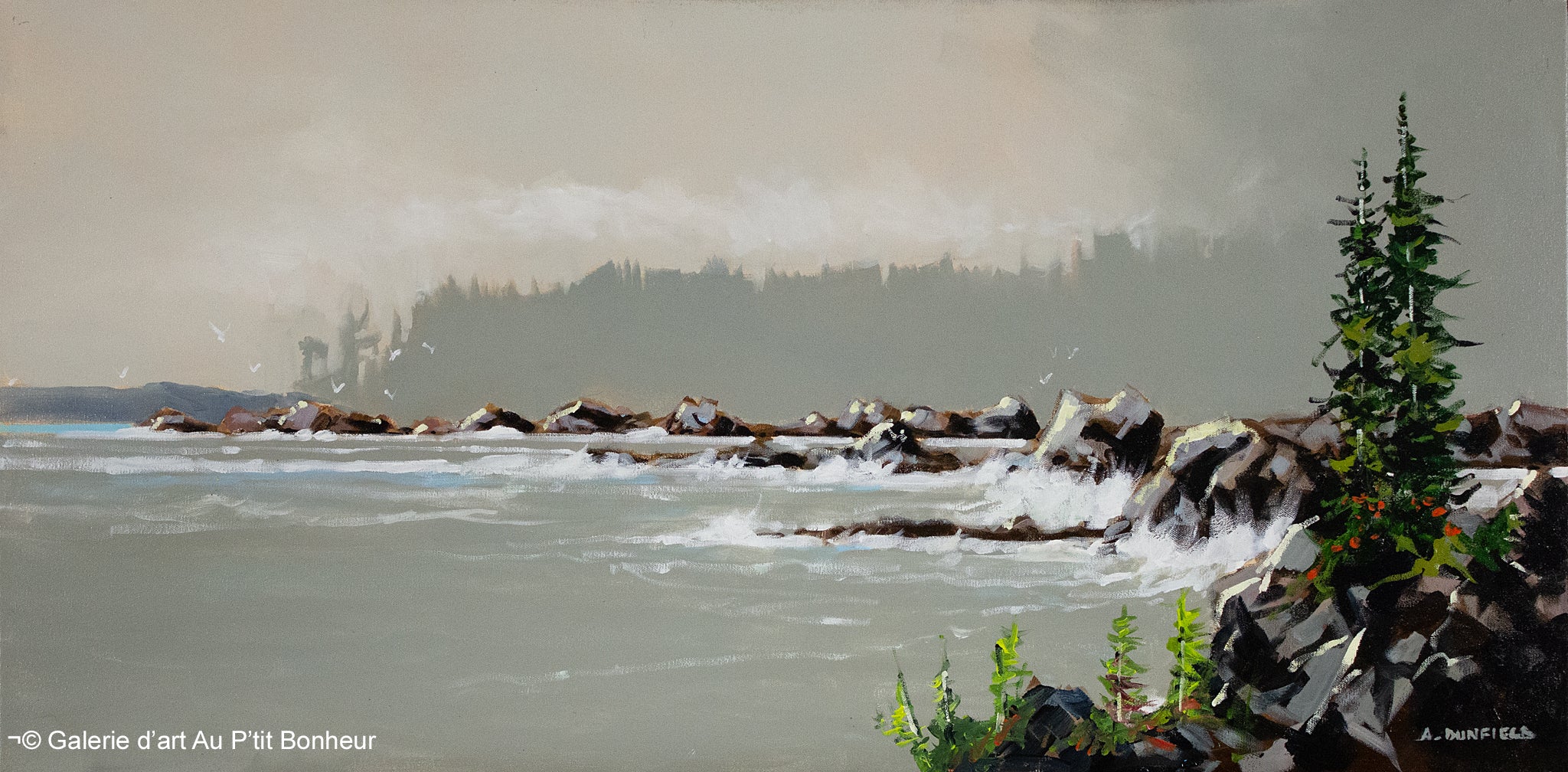 Allan Dunfield | Rugged Shores