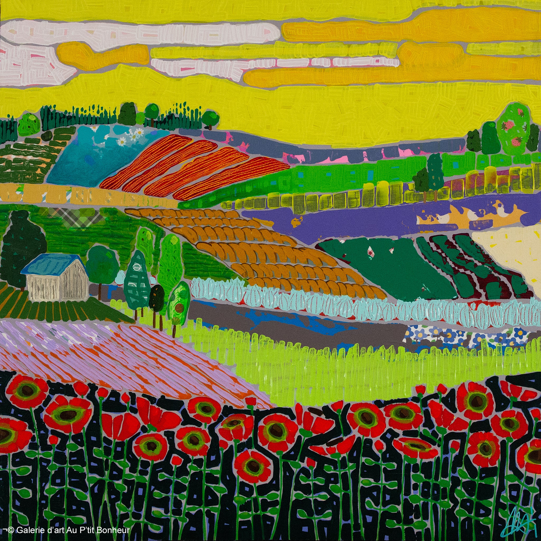Ann Murphy | Poppies at Daybreak