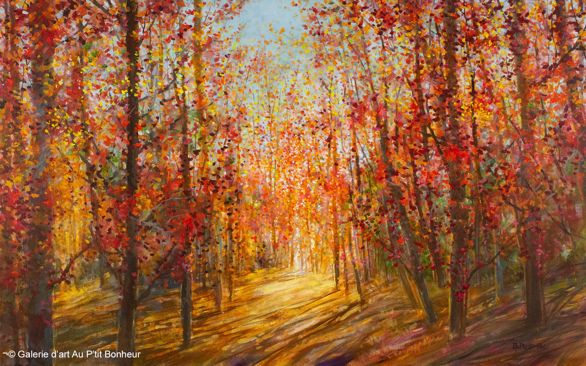 Bev Rodin | Forest Light Series: Small Hill