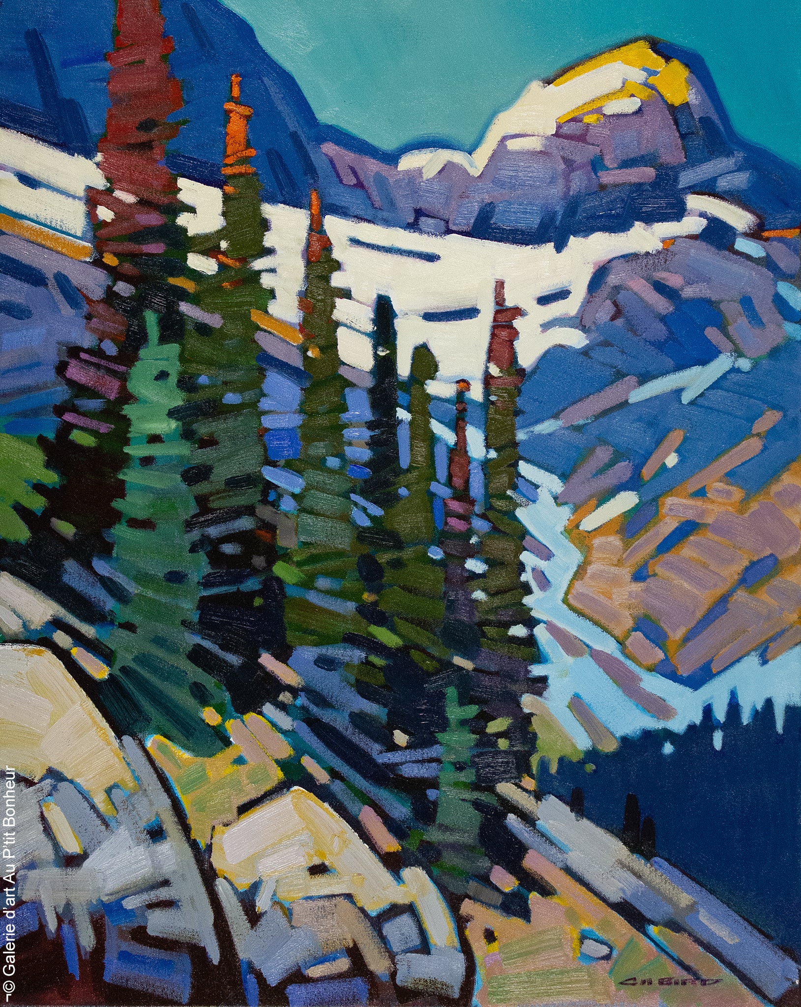 Cameron Bird | Illecillewaet Glacier View