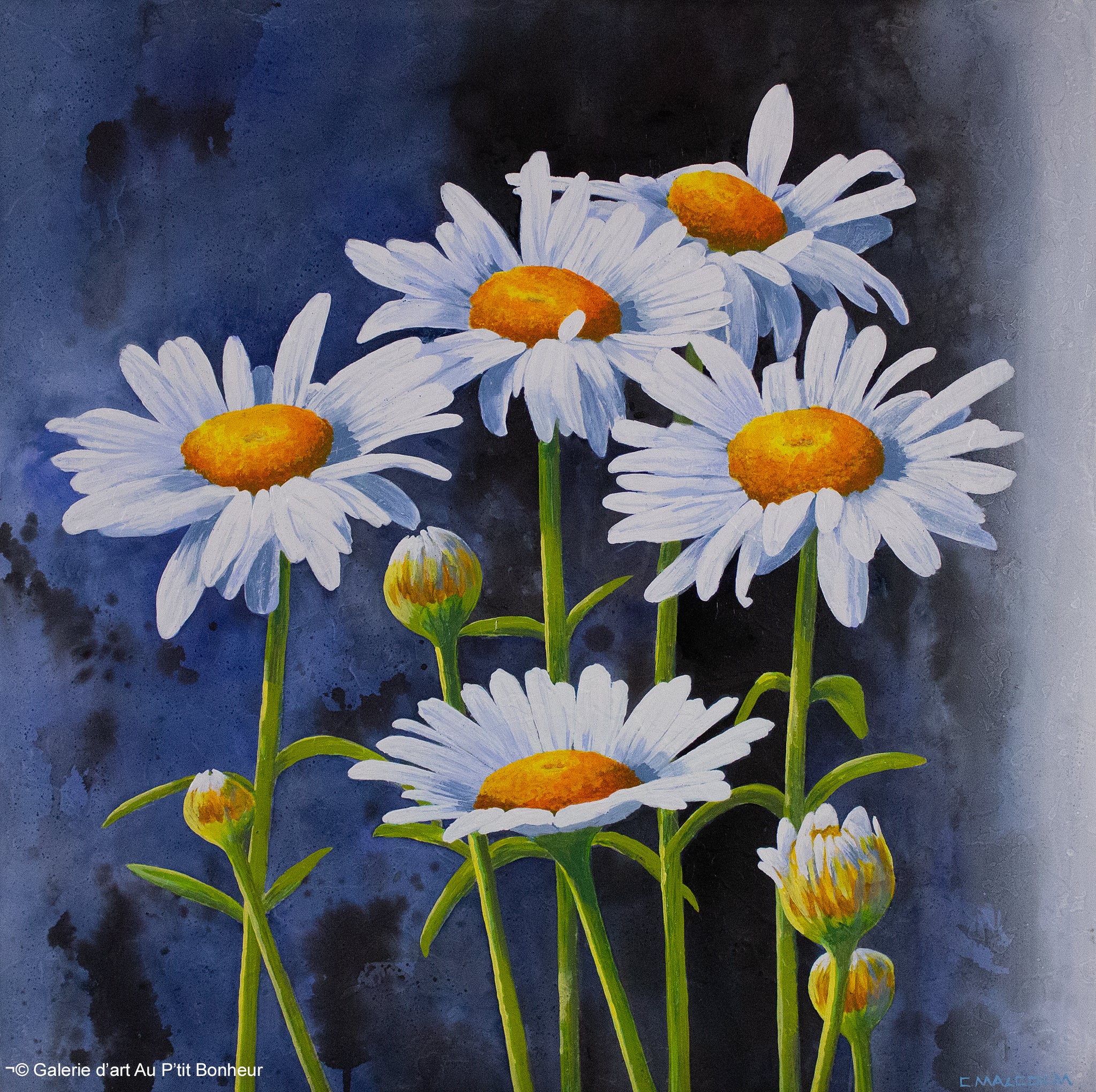 Carole Malcolm | Floral Study 02626