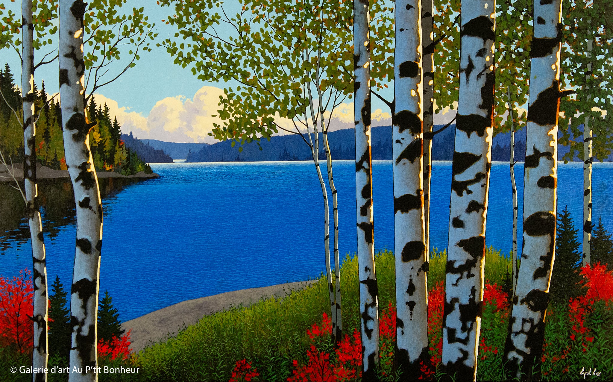 Cyril Cox | Blue Lake Birches