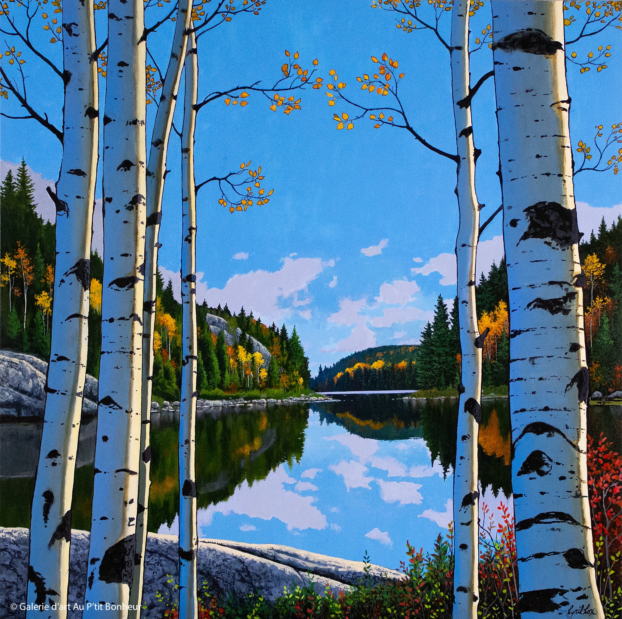 Cyril Cox | Calm Waters & Fall Aspens