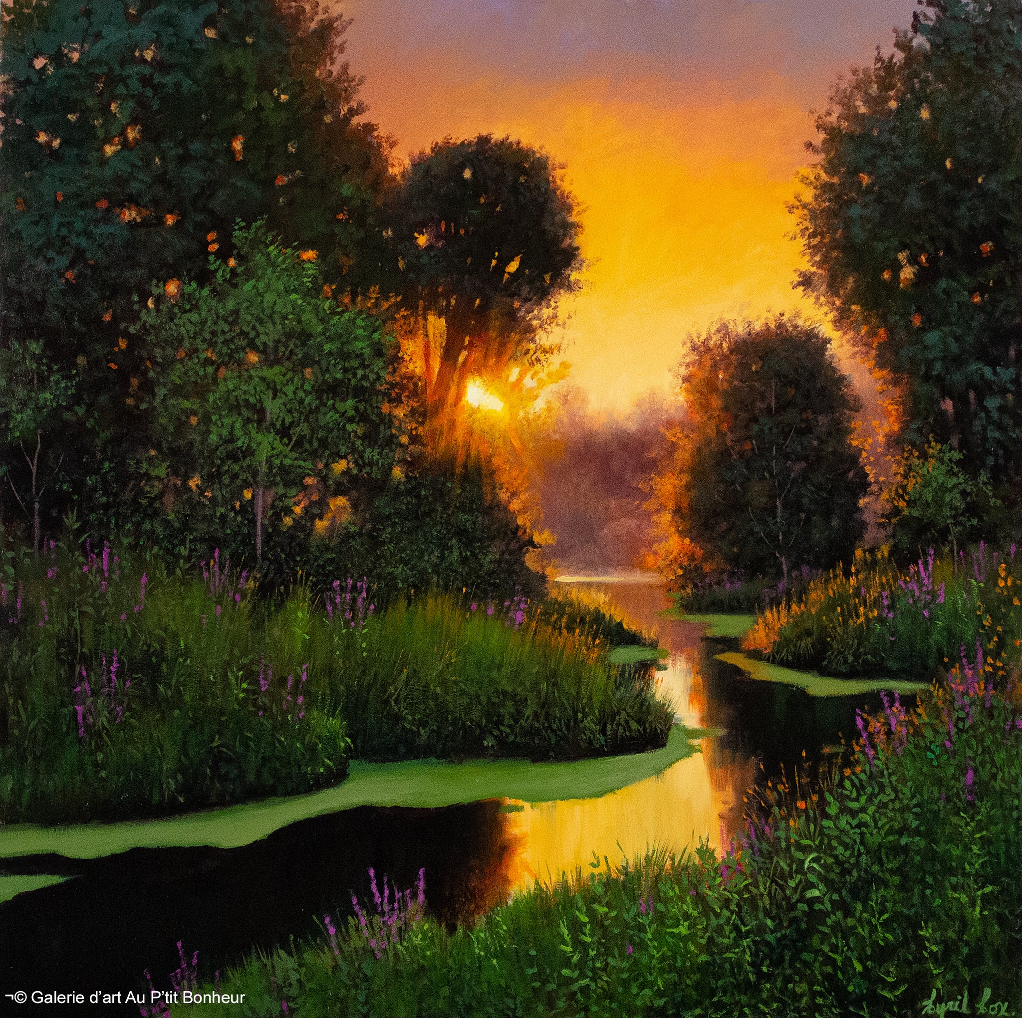 Cyril Cox | Morning Glory