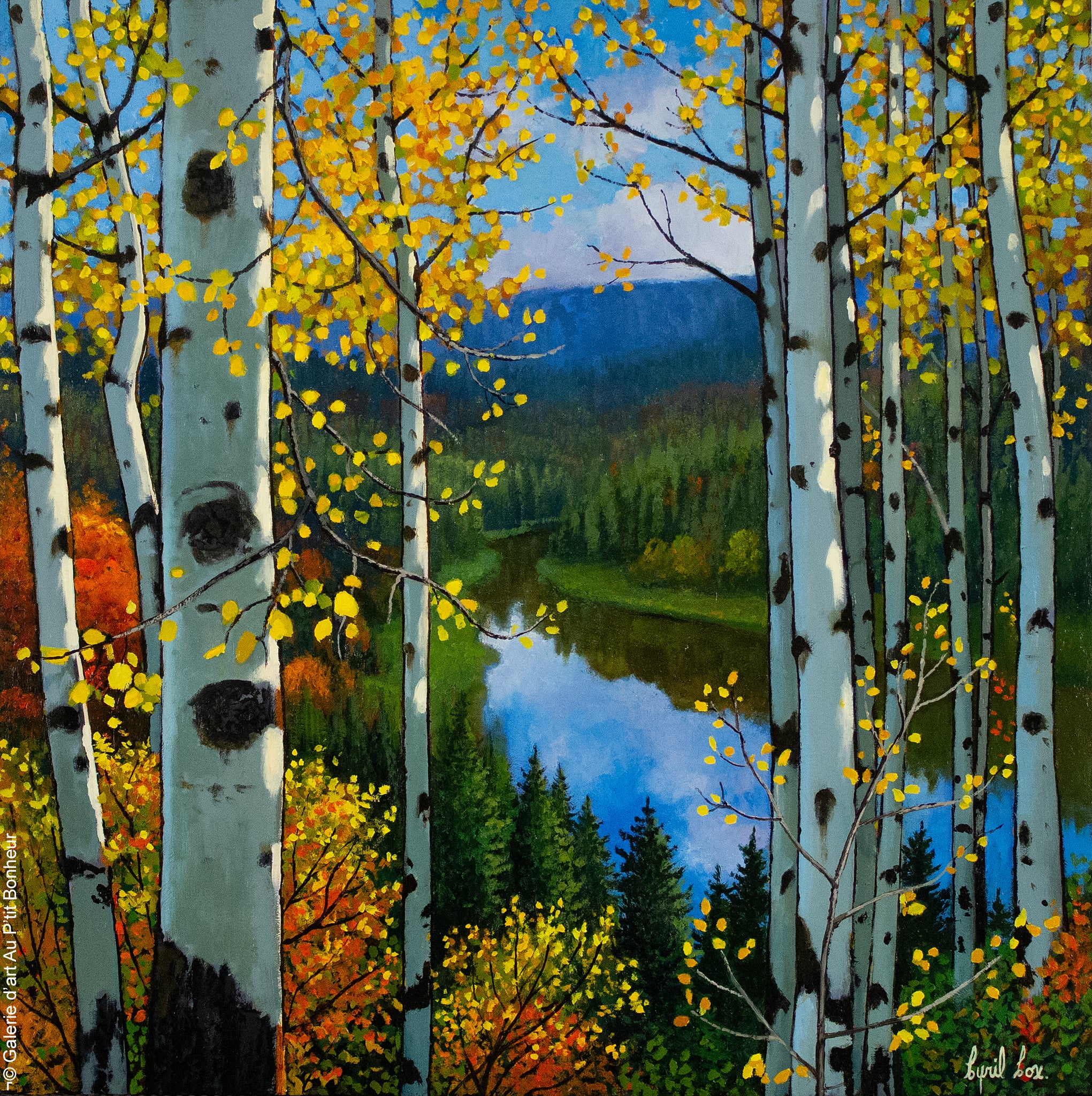 Cyril Cox | Valley View Aspens