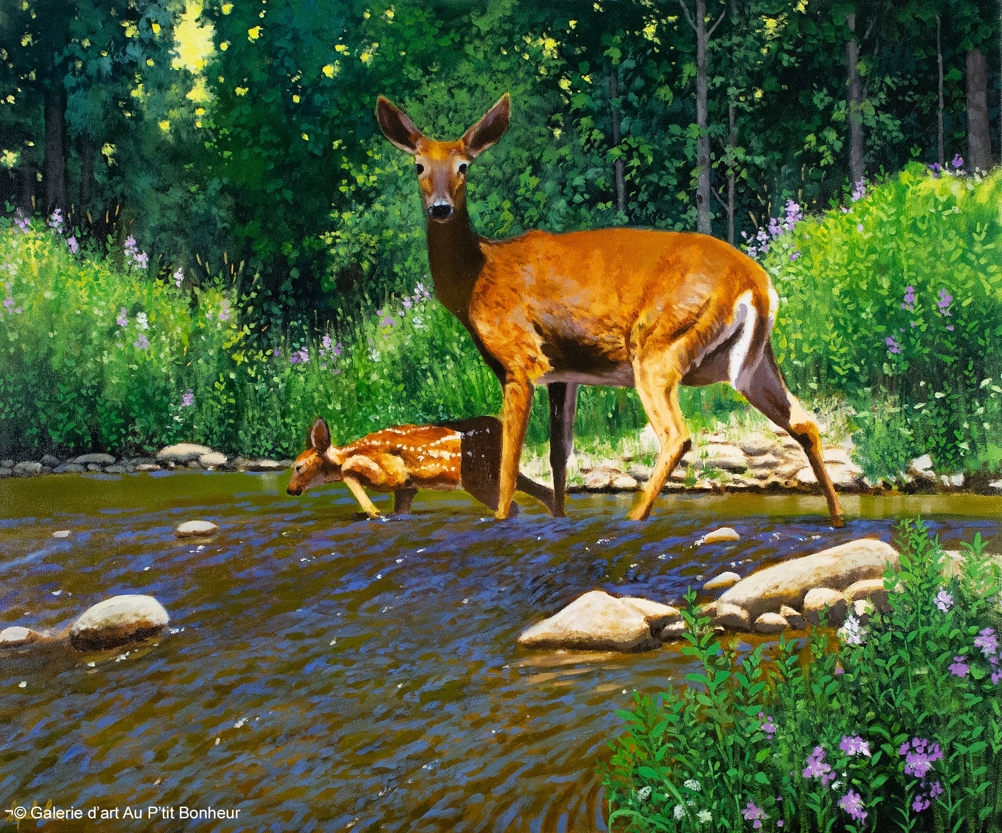 Cyril Cox | The Next Generation (Doe & Fawn)