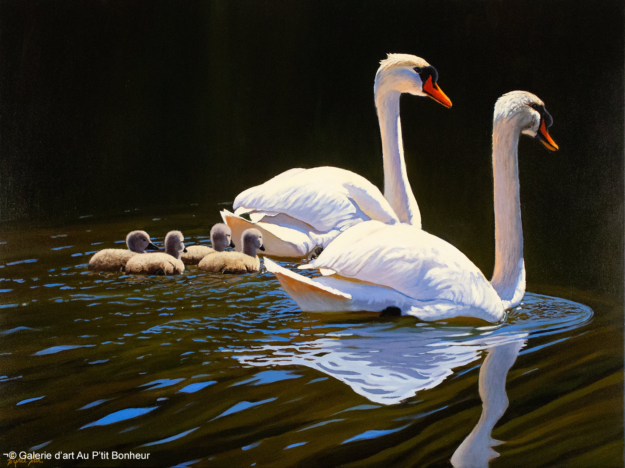 Cyril Cox | Family Outing (Mute Swans)