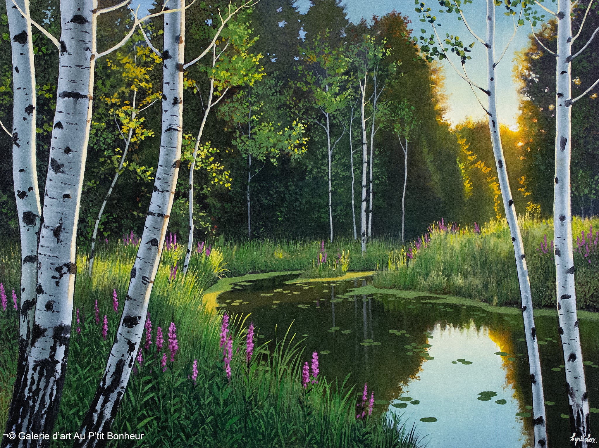 Cyril Cox | Still Water Sun Up