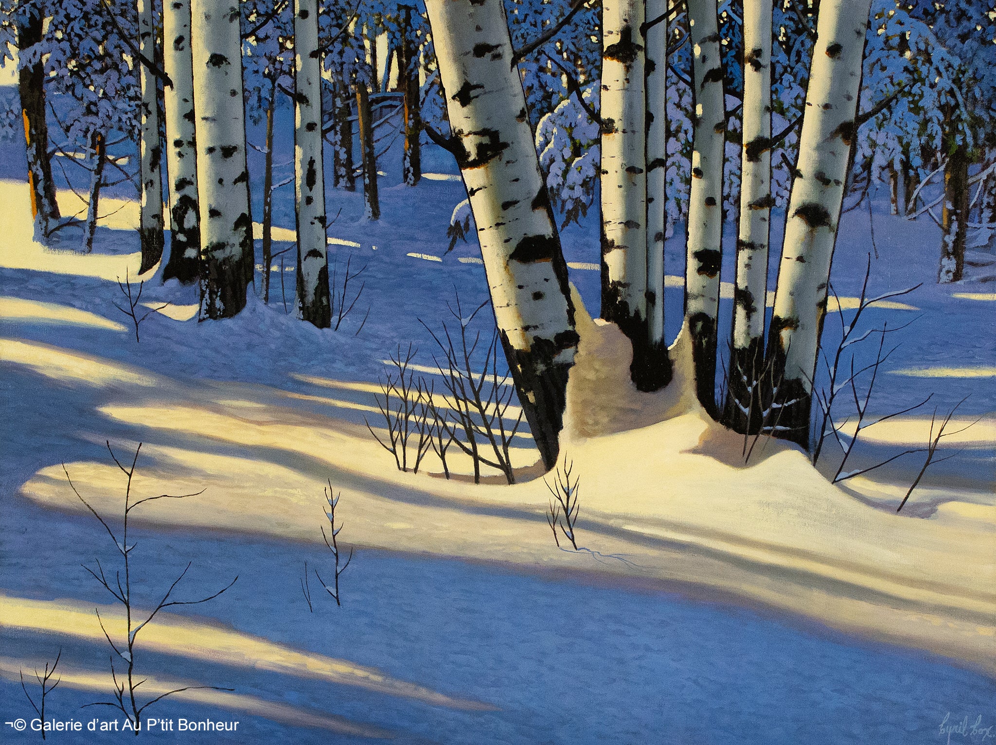 Cyril Cox | Winter Birches