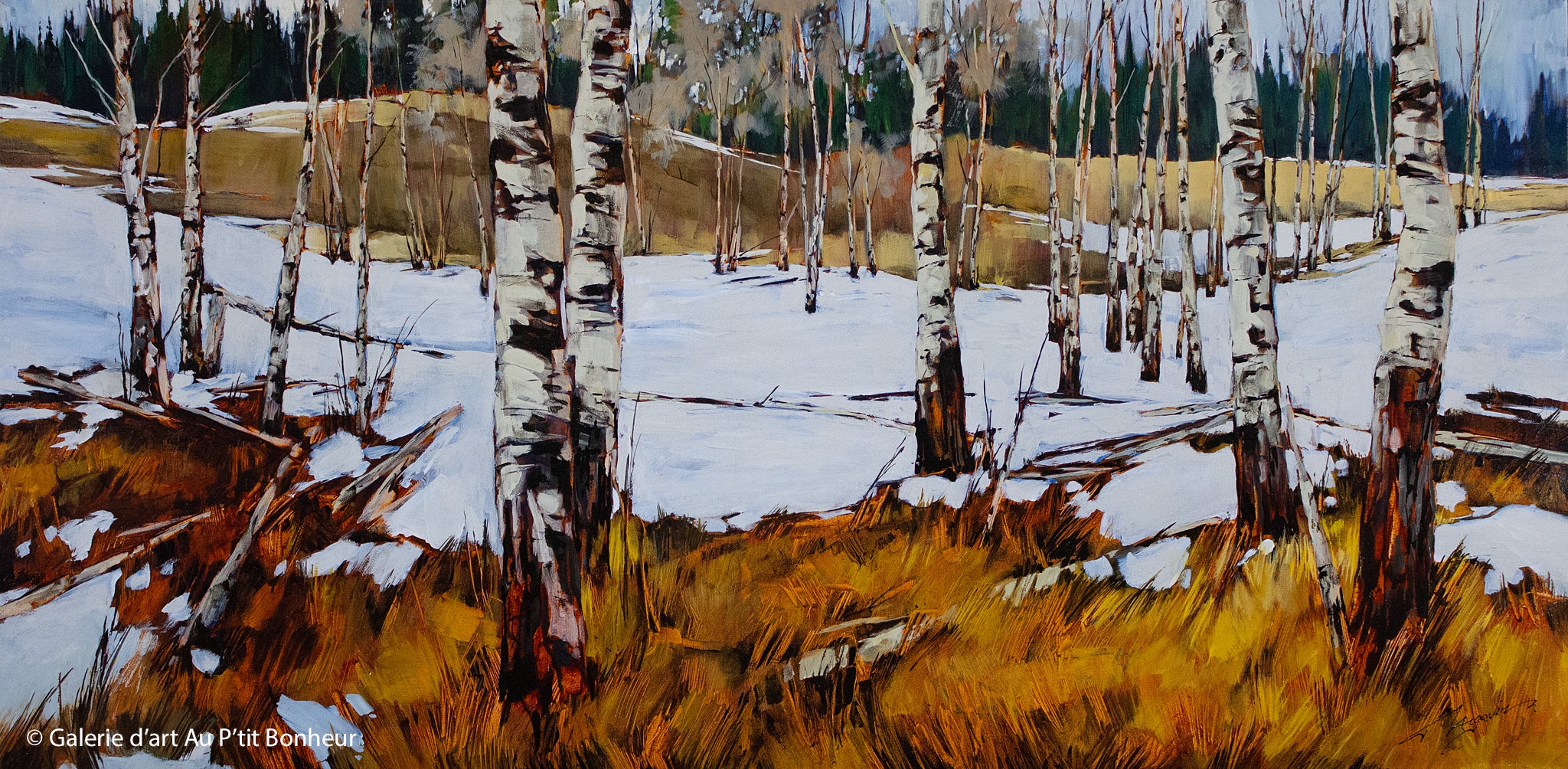 David Langevin, artiste peintre | Oeuvres disponibles  | Galerie d'art Au P'tit Bonheur