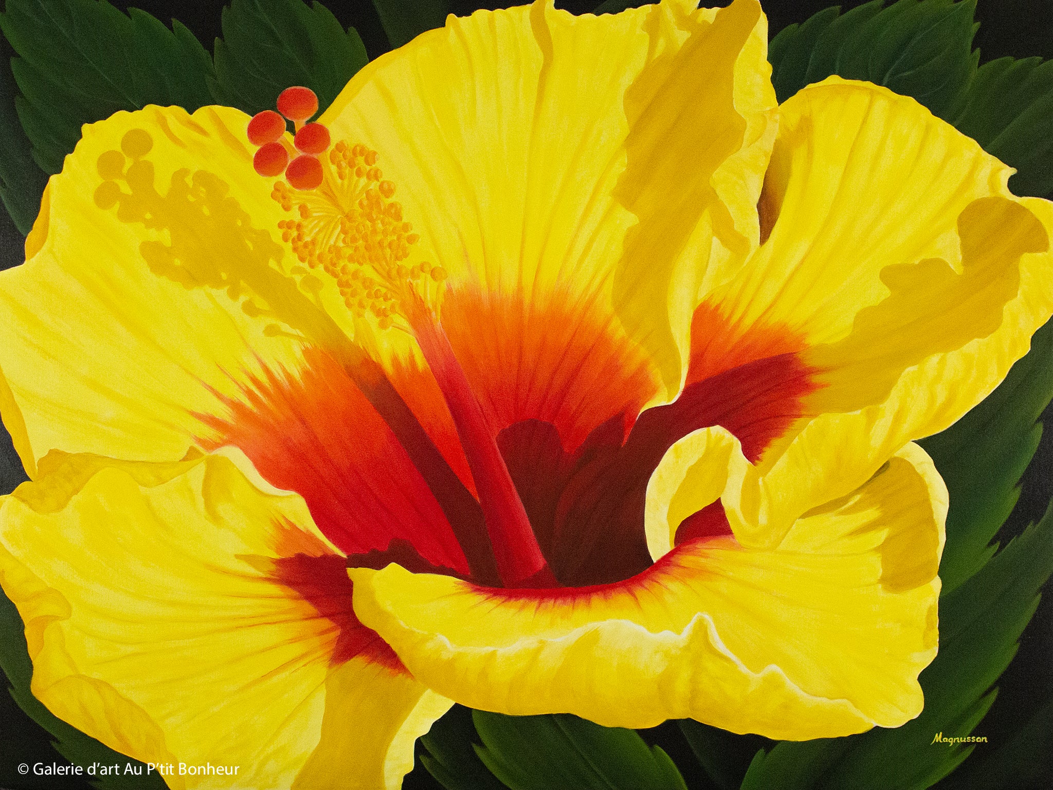 Dennis Magnusson | Honolulu Hibiscus