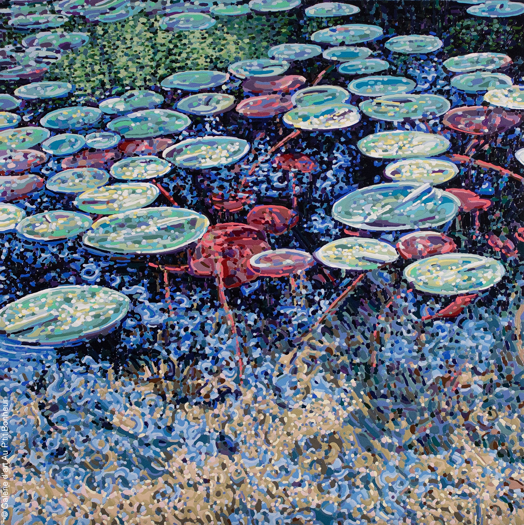 Elyse Turbide | Jardins sauvages XXXIII