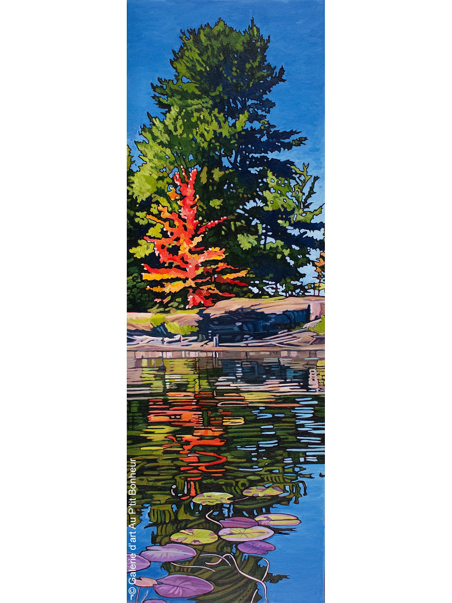 Janet K. MacKay | Deerock Lake