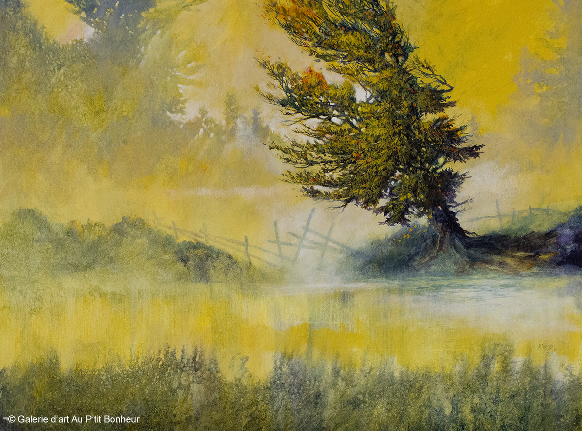 J. Douglas Thompson, artiste peintre | Oeuvres disponibles  | Galerie d'art Au P'tit Bonheur