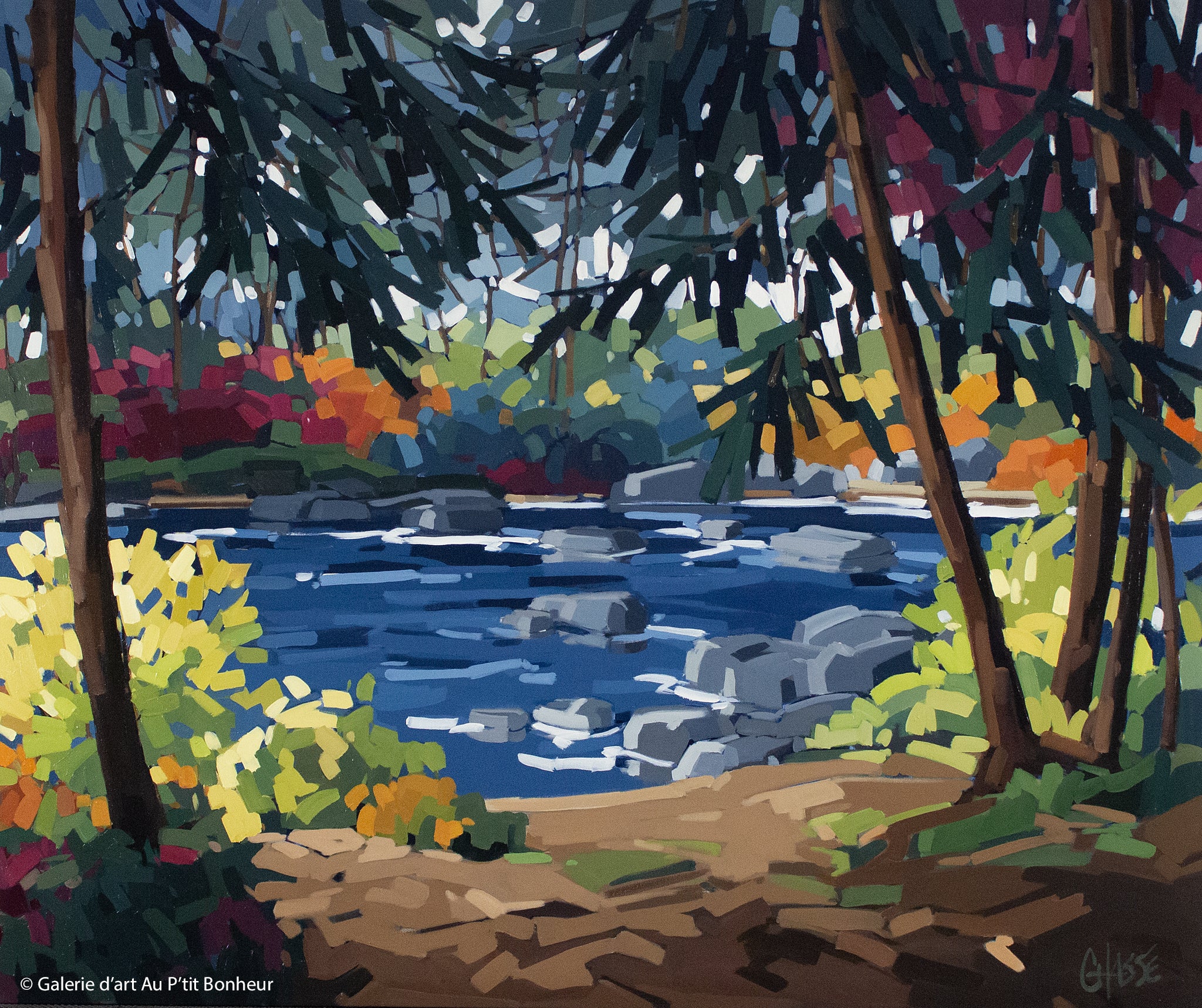 Martine Chassé | Où chantent les cigales