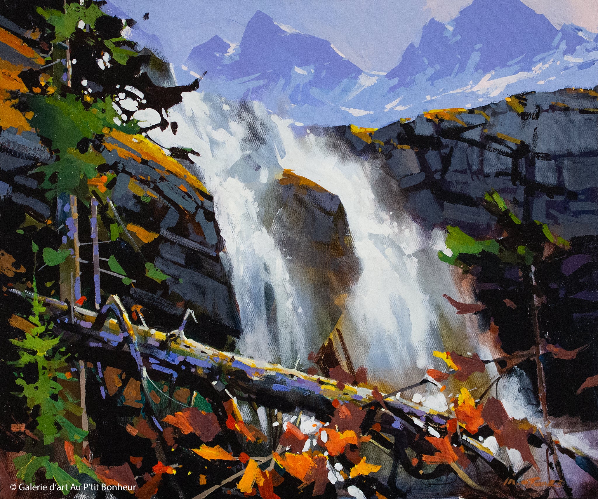 Michael OToole | Falls at Lake O'hara (2014)