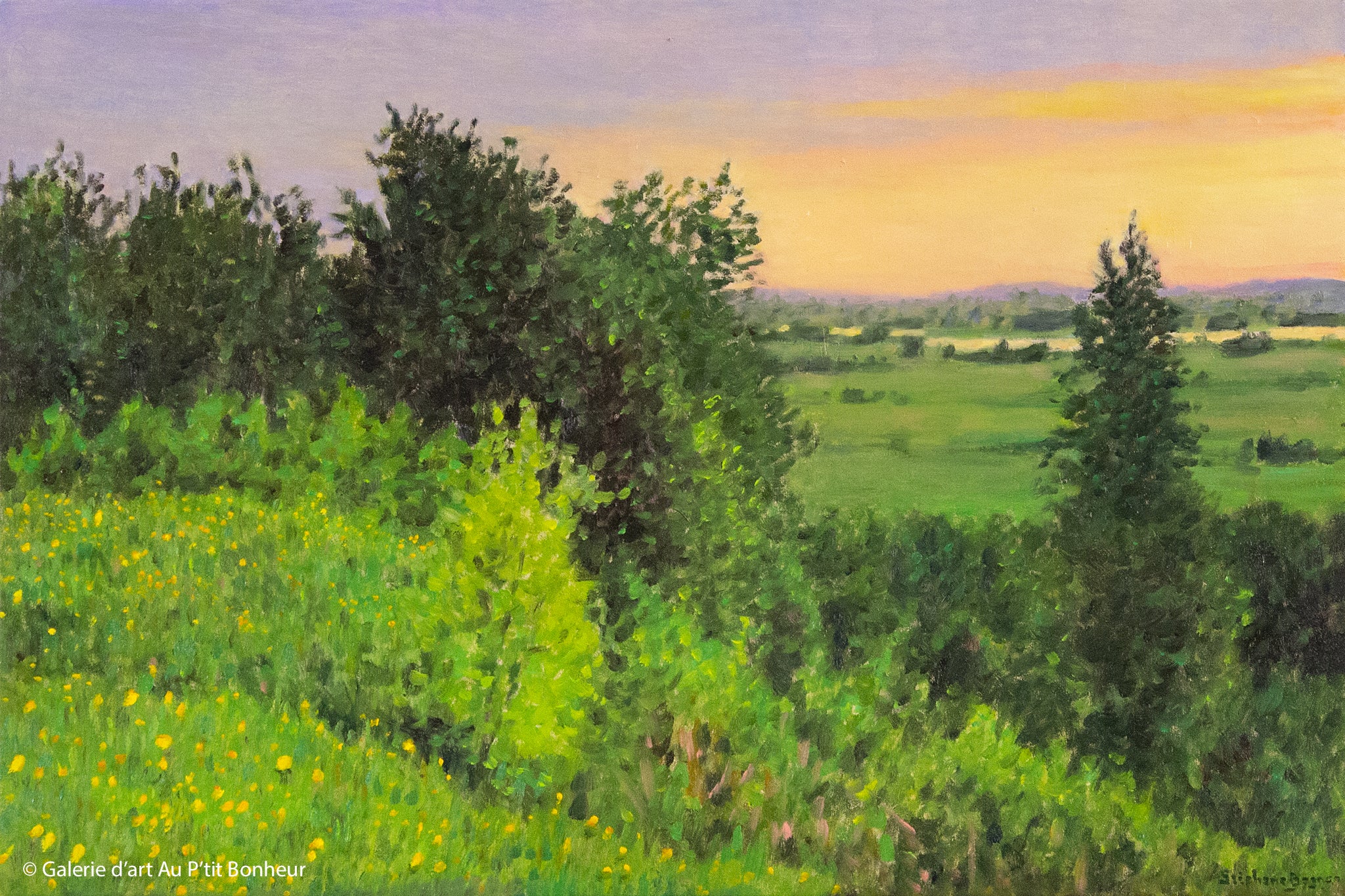 Stéphane Gagnon | Verdoyante nature