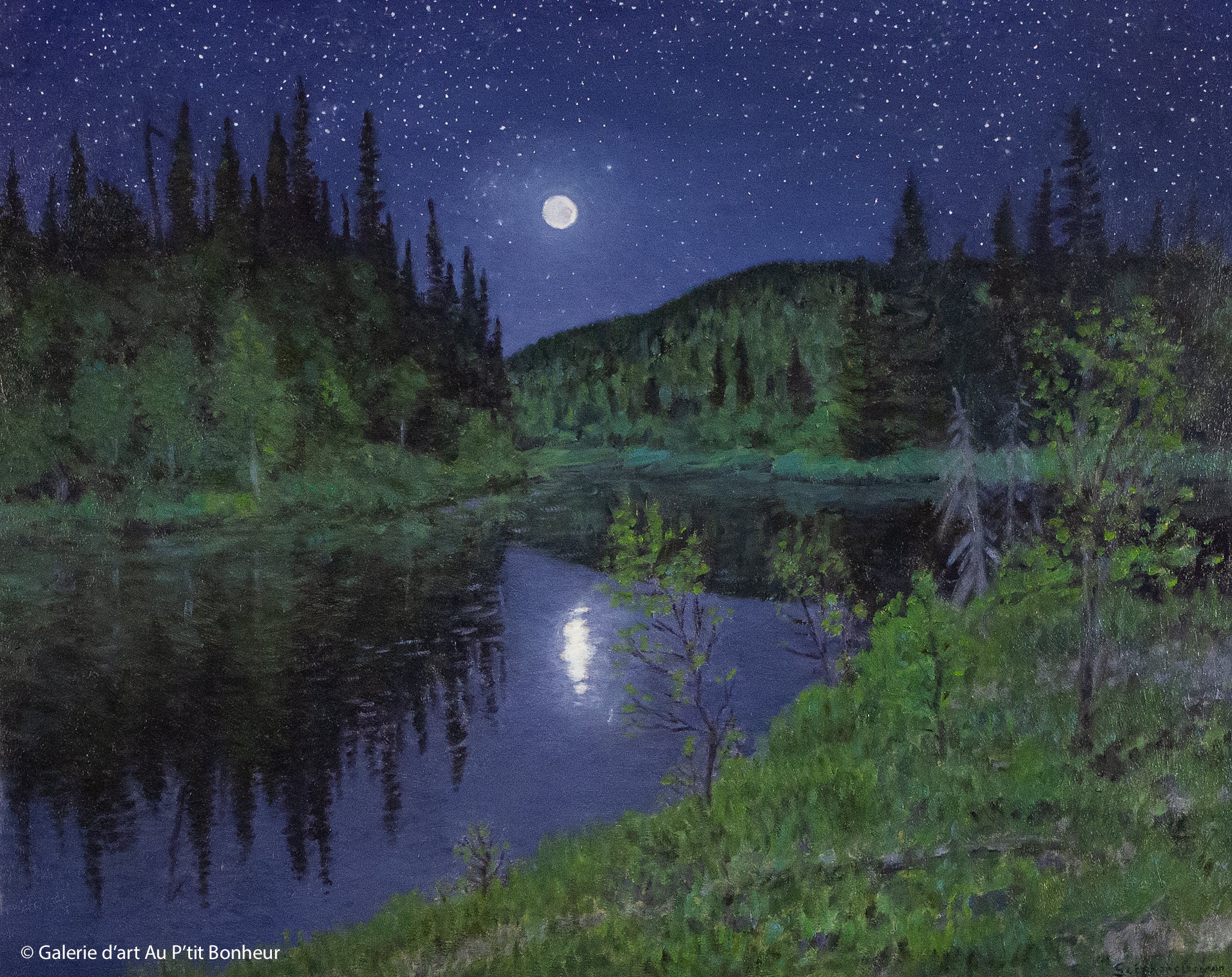 Stéphane Gagnon | À la belle étoile