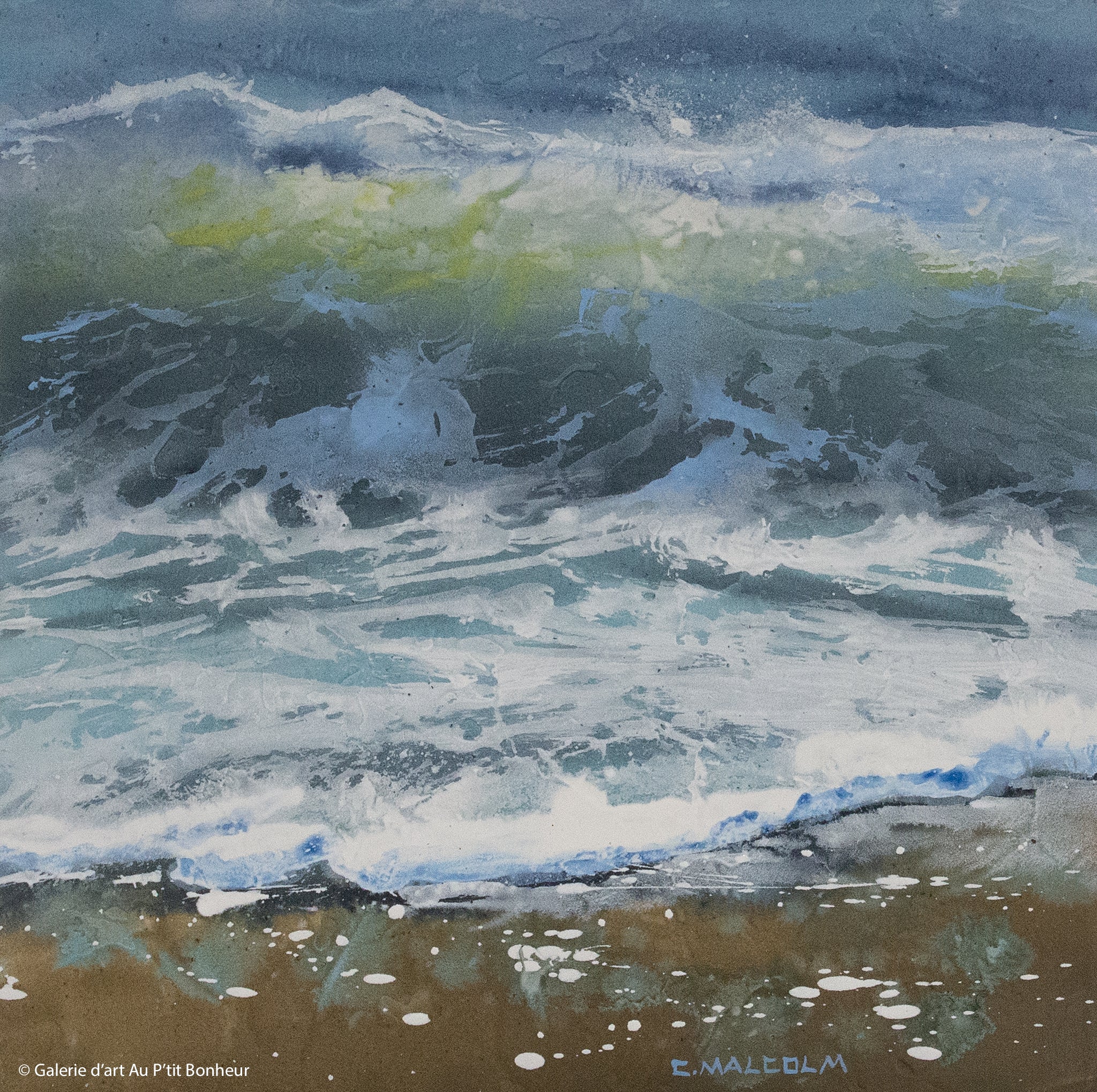 Carole Malcolm | Shoreline Study 14222