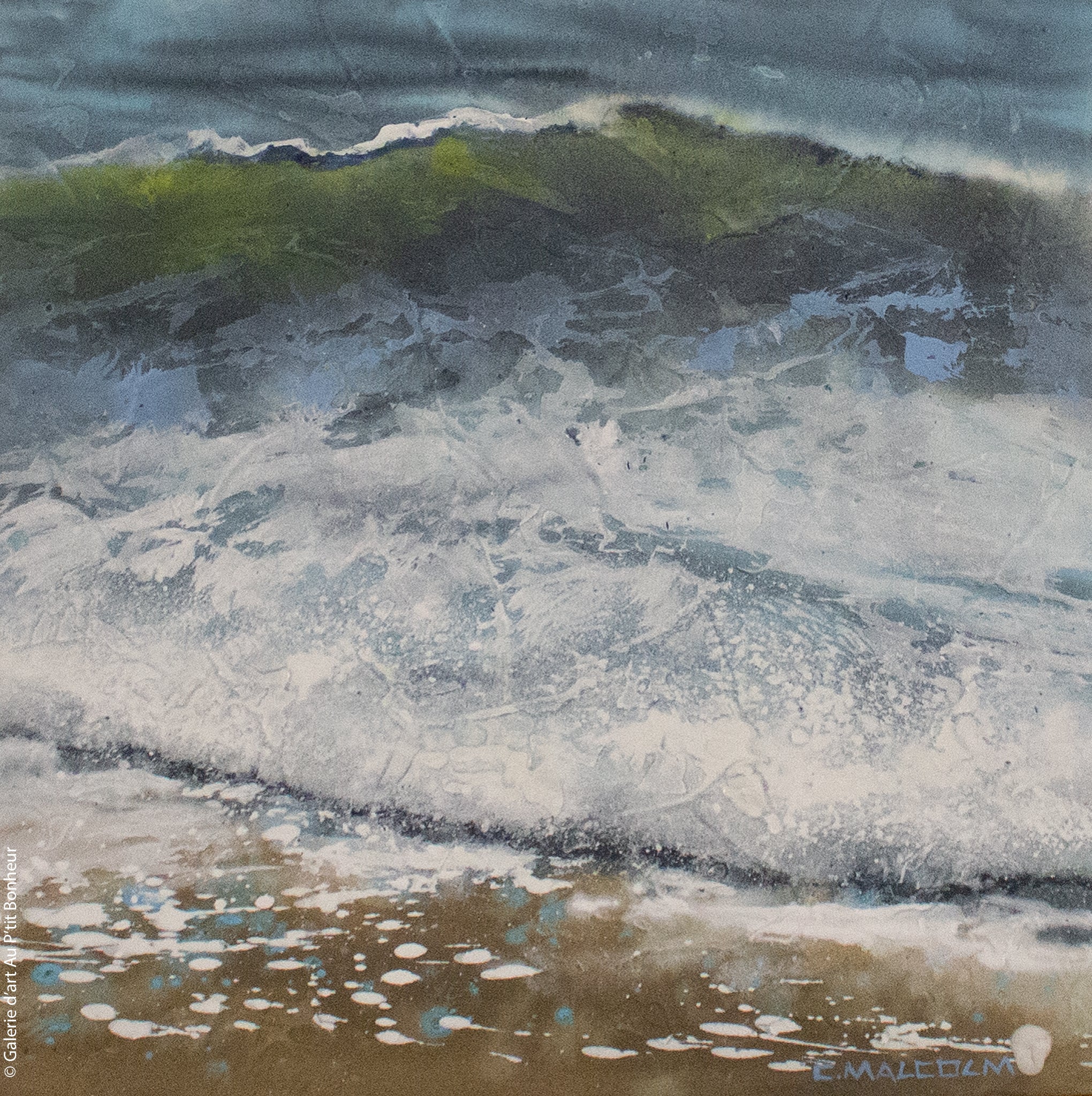 Carole Malcolm | Shoreline Study 15122