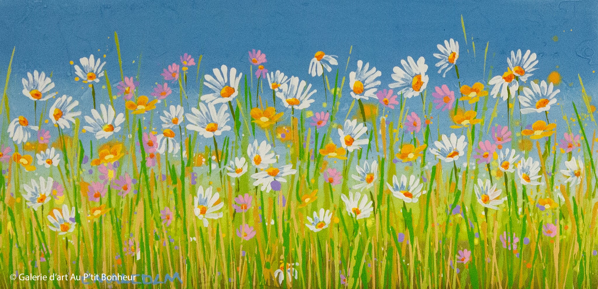Carole Malcolm | Wildflowers 00623