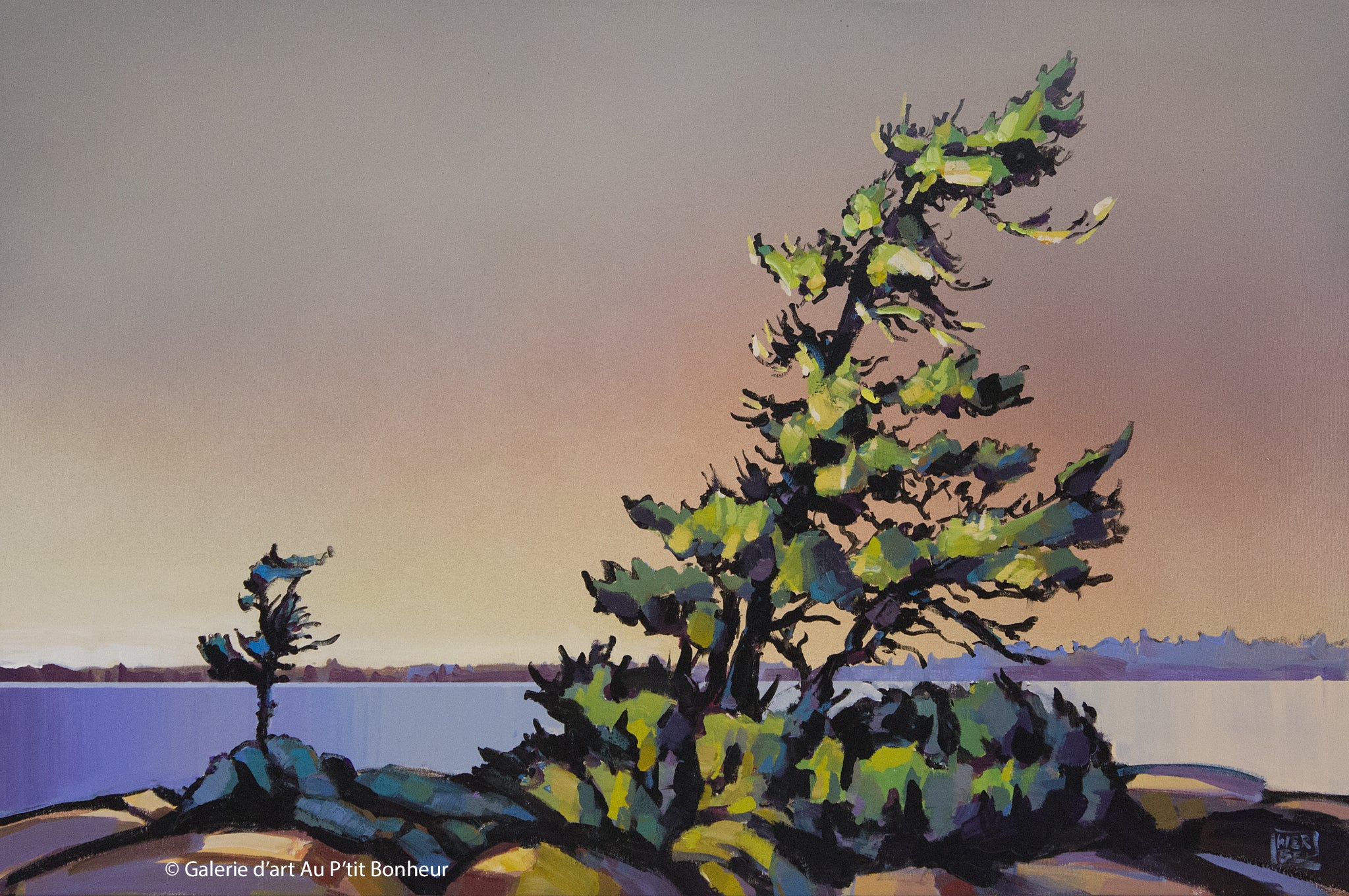Jerzy Werbel | The Pine Island