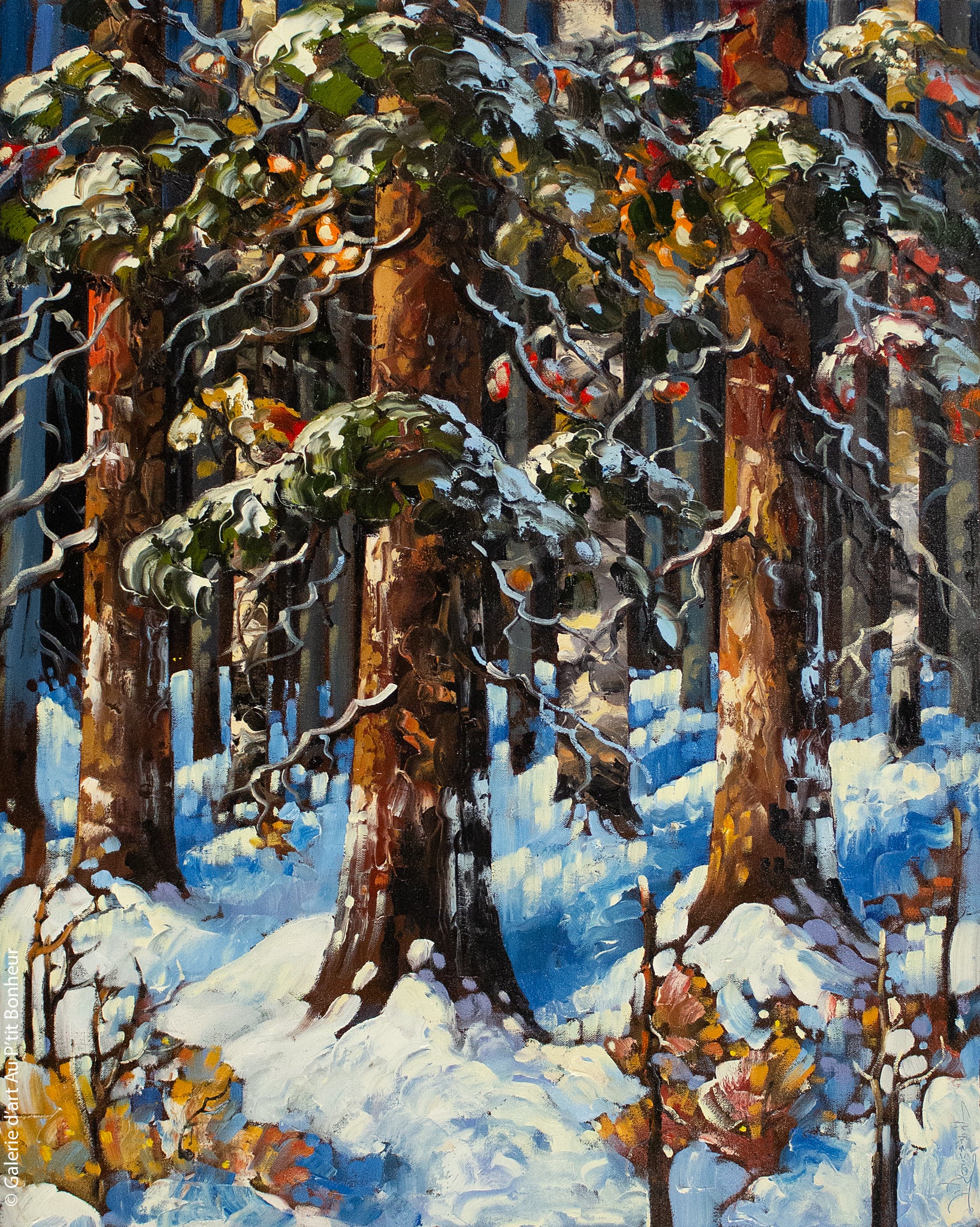 Rod Charlesworth | Deep Winter Woods