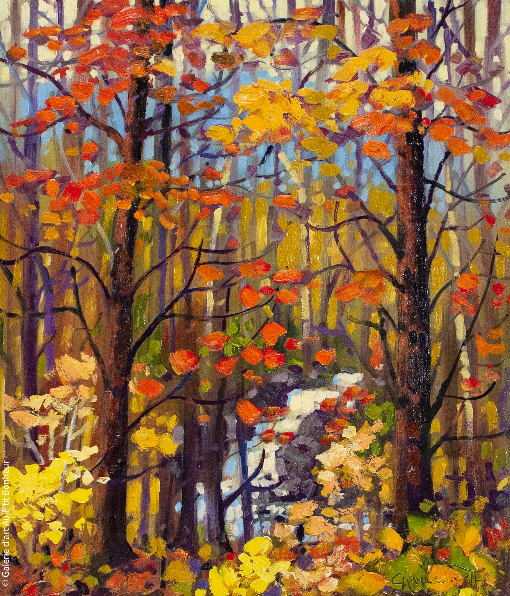 Rod Charlesworth | Autumn Brook, Trepanier