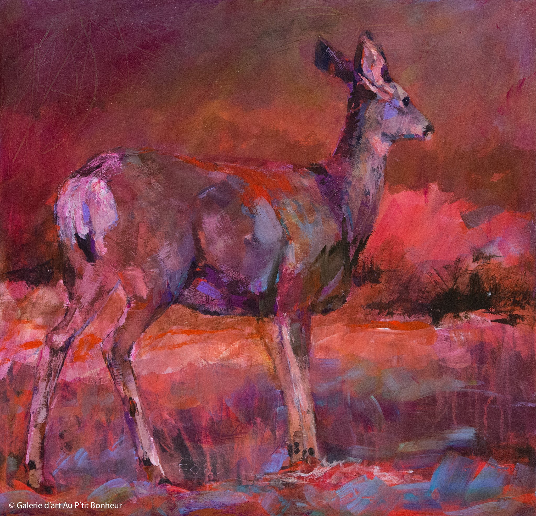 Shannon Ford | Evening Mule Deer