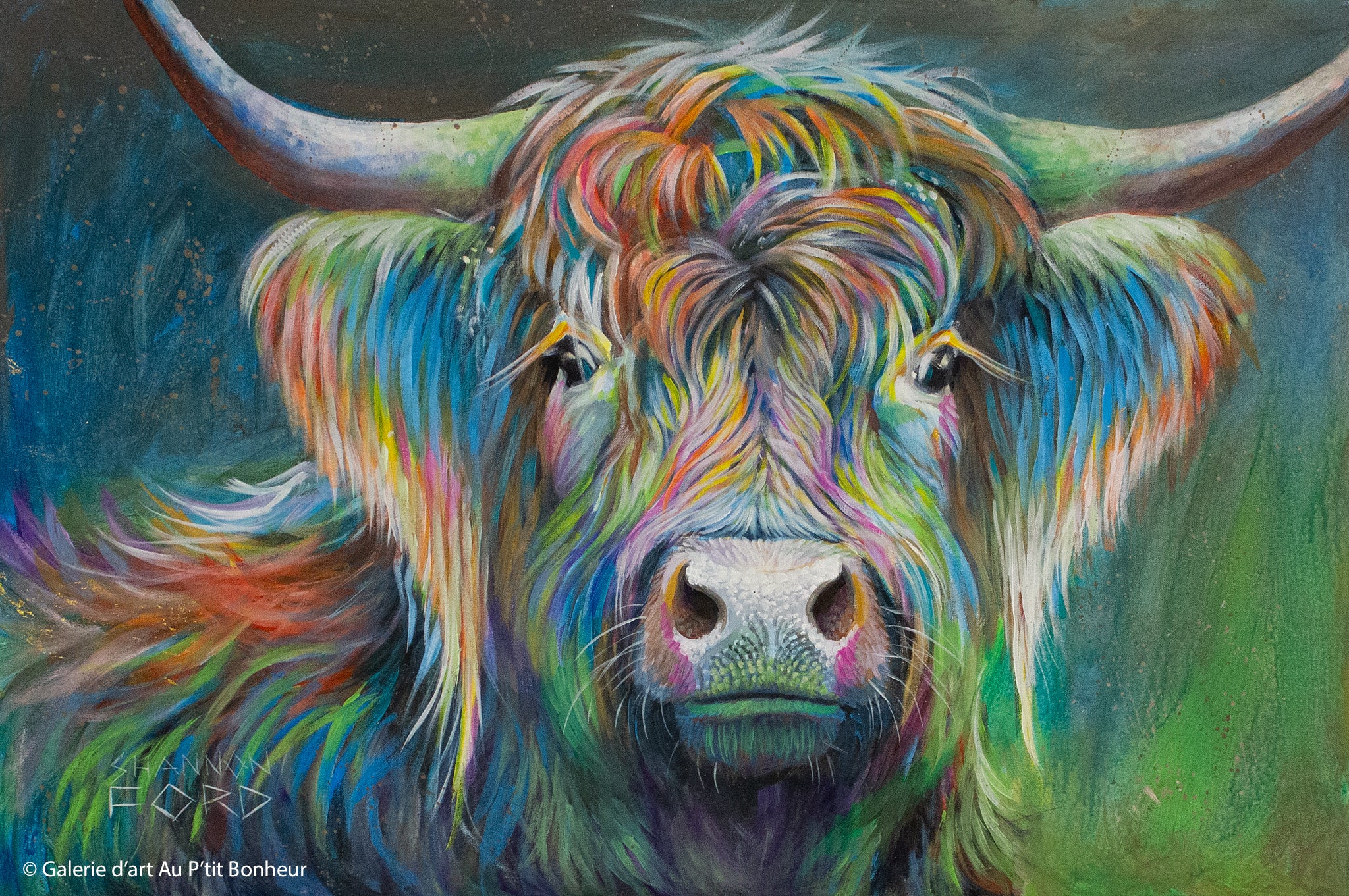 Shannon Ford | Hairy Cow